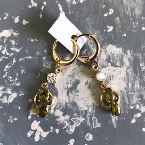 ‼️PRICE DROP‼️ Earrings with Fern Green Stone